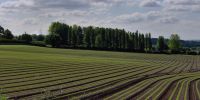 Landwirtschaft & Silage