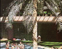 Piscine1