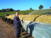 Silagebehandlung mit neutralem Anolyte